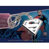 DC Comics - Porte-clés Logo Superman en acier - Goodies