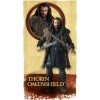 Le Hobbit - Figurine Thorïn Oakenshield - 15 cm