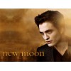 Twilight New Moon - Figurine Edward Cullen brillant