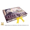 Harry Potter - Boite d'artefacts Harry Potter