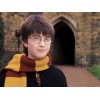 Harry Potter - Réplique Écharpe Classique Gryffondor - 190 cm