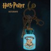 Harry Potter - Potion Bottle Light-Up Keychain